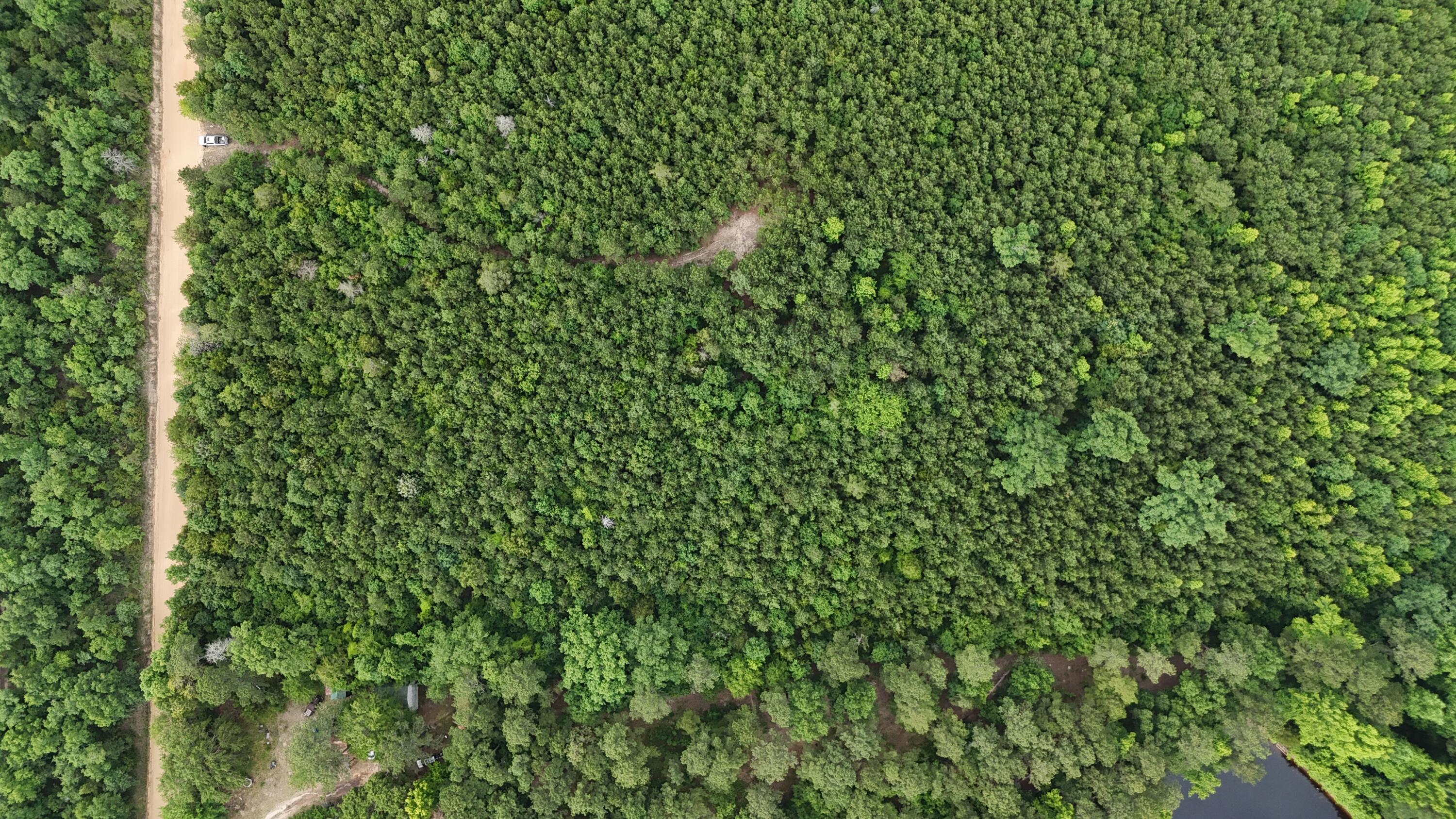 0 Stagecoach Rd Exn Drive Thomson, GA 30824 - Photo 21 of 22 DJI_20240603095712_0042_D