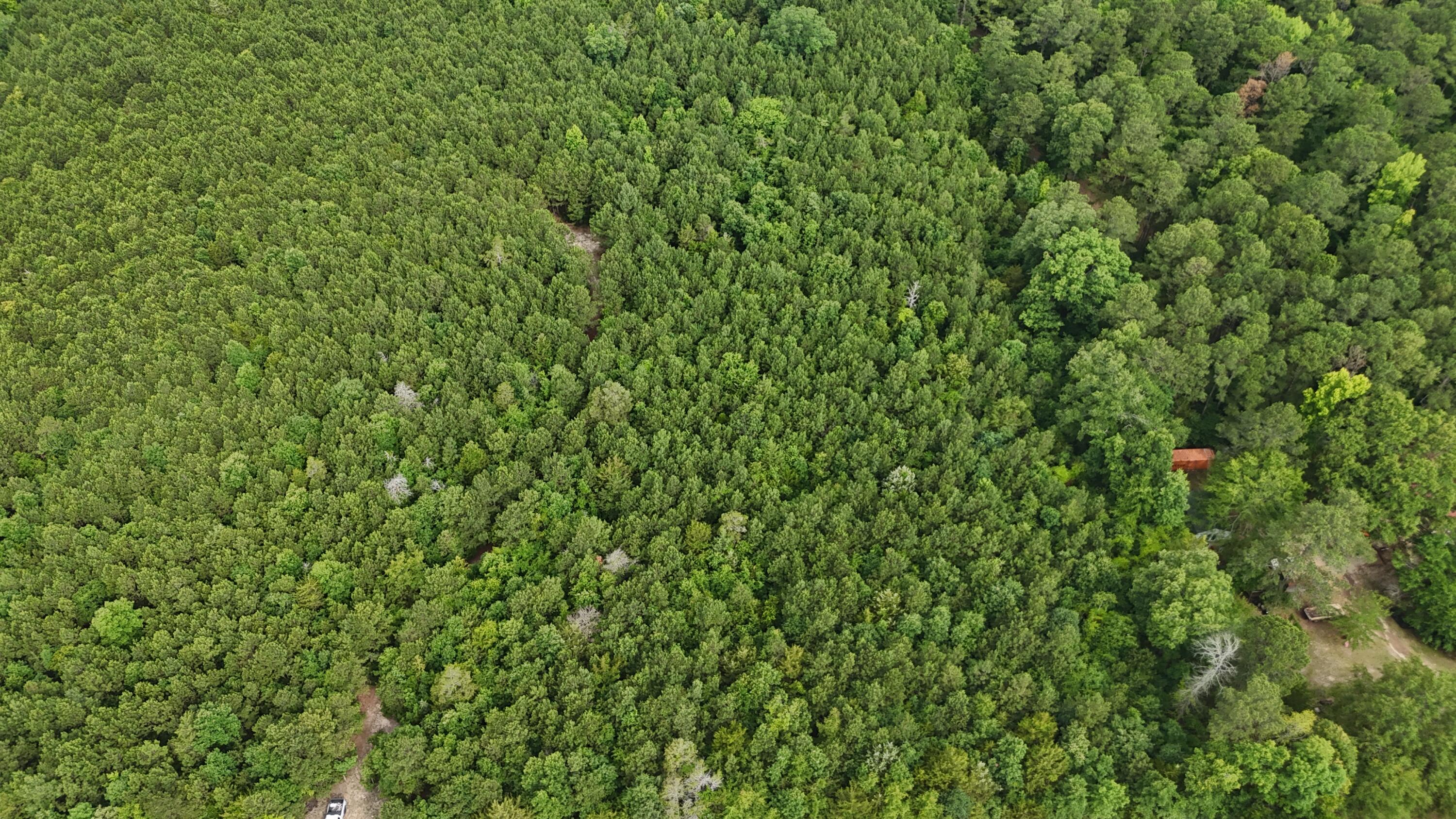 0 Stagecoach Rd Exn Drive Thomson, GA 30824 - Photo 22 of 22 DJI_20240603095603_0040_D