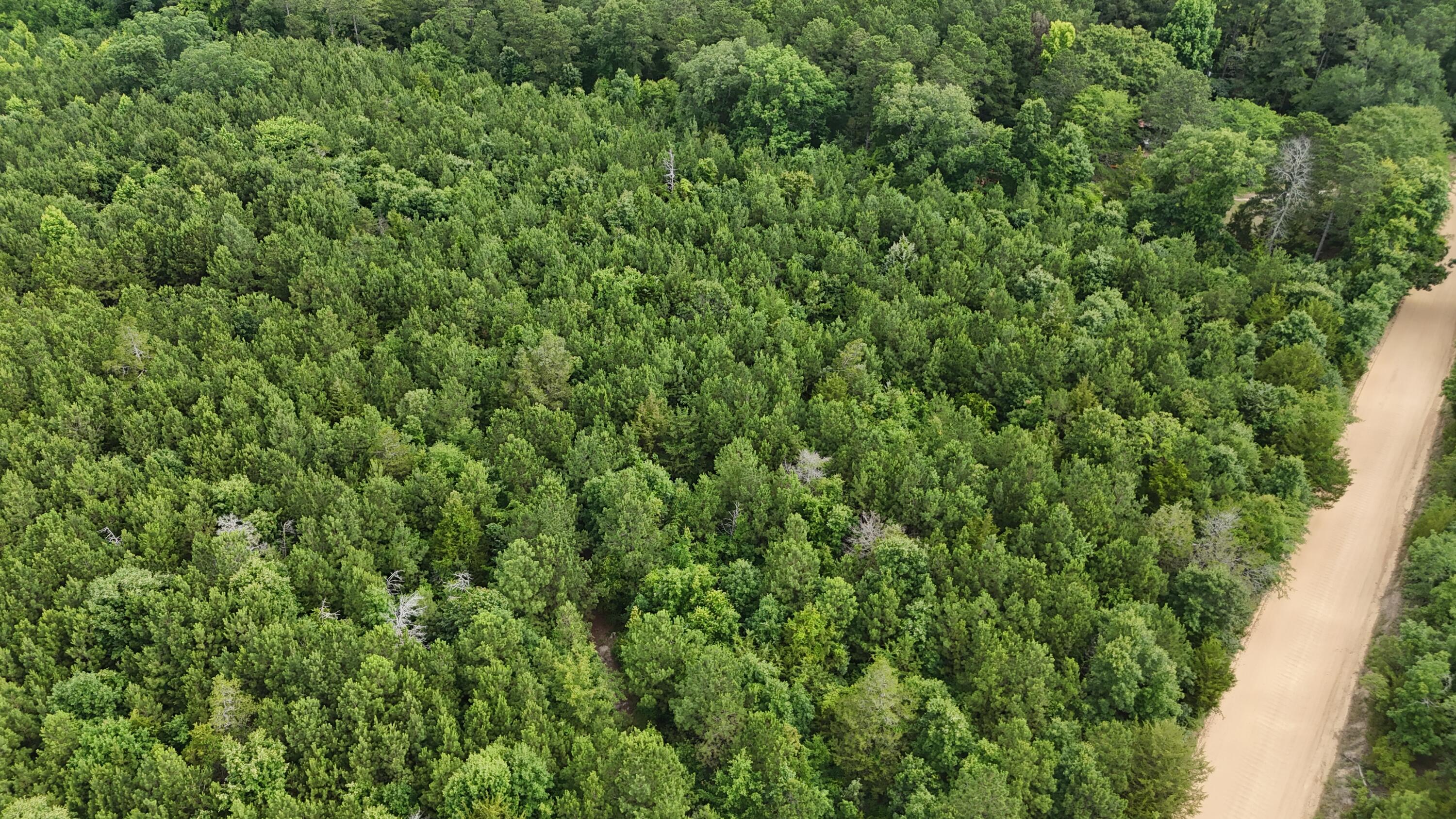 0 Stagecoach Rd Exn Drive Thomson, GA 30824 - Photo 6 of 22 DJI_20240603095430_0035_D