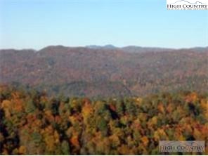 0 Elk Ridge Road Ferguson, NC 28624 - Photo 5 of 5 a view of a dry field