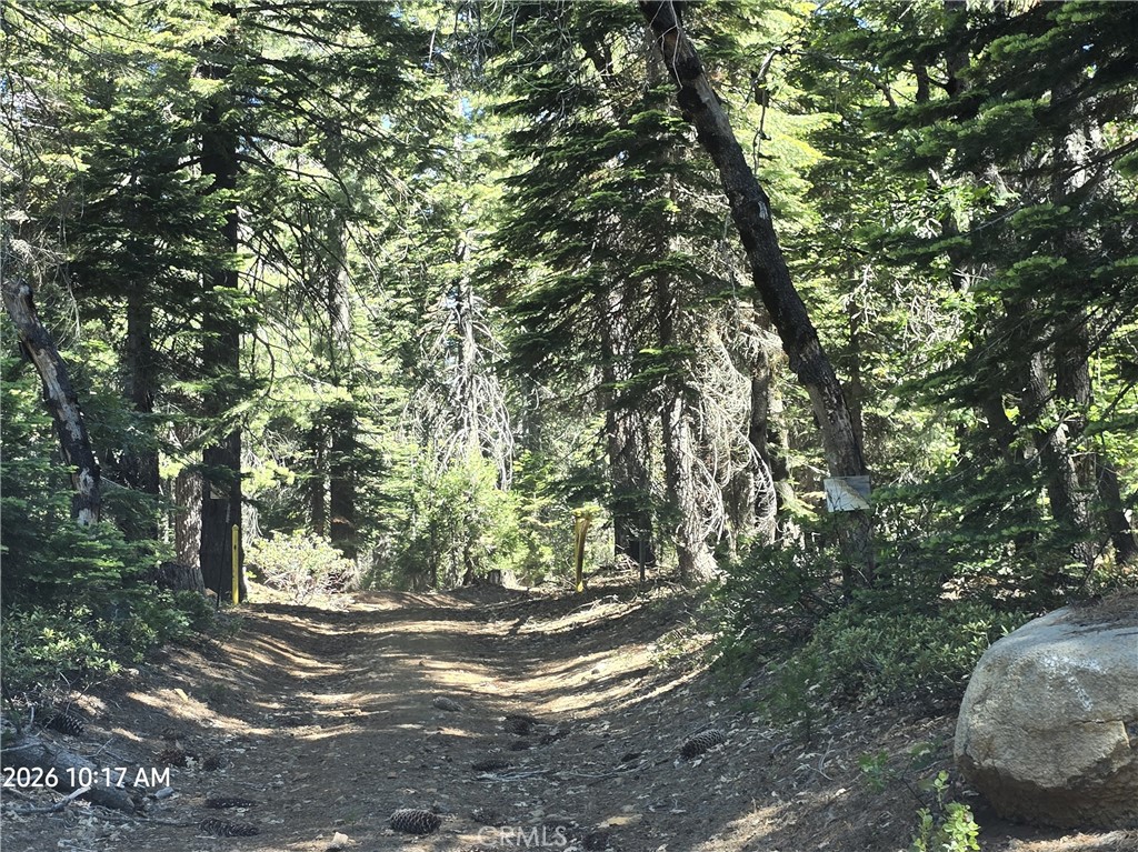 0 Fish Creek Forest Ranch, CA 95942 - Photo 43 of 43 Property Access Gate