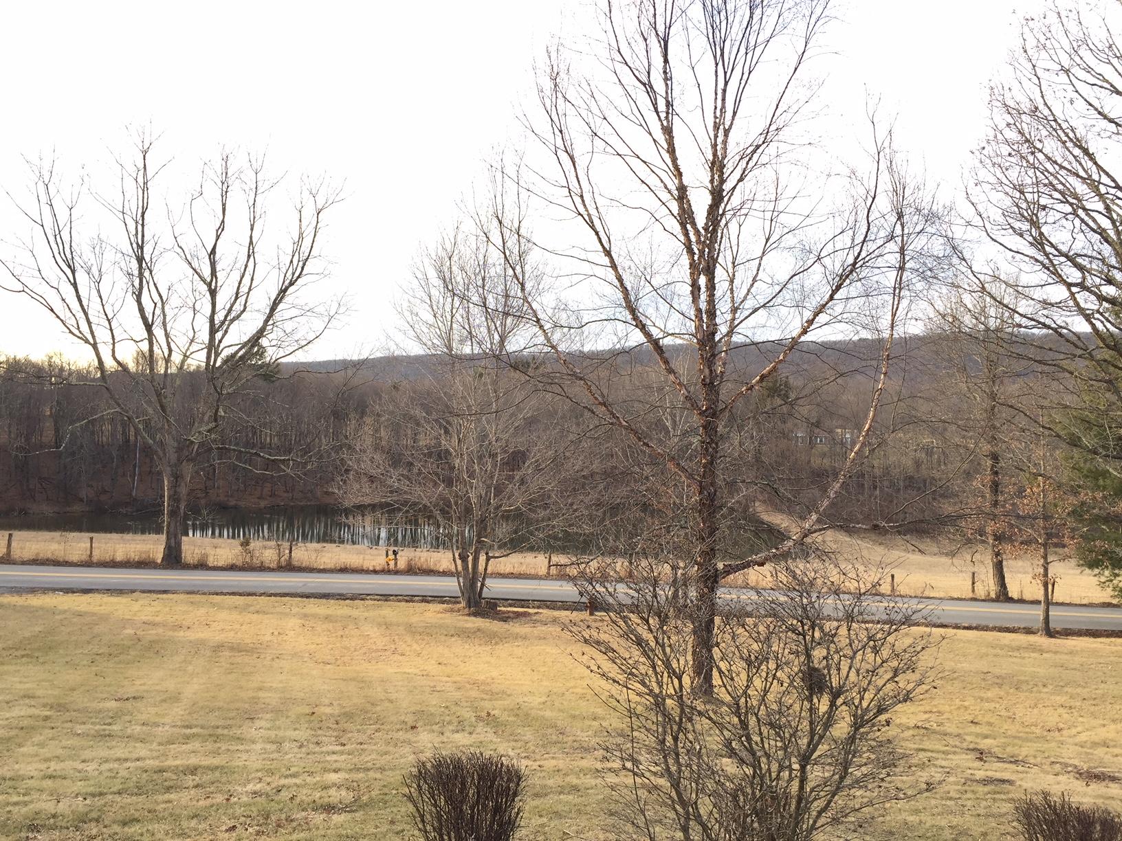 2009 Zenith Road Gap Mills, WV 24941 - Photo 21 of 50 Gallery Image 21