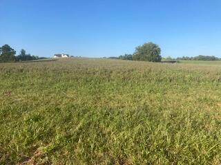 0 Cedar Road Stamping Ground, KY 40379 - Photo 1 of 3 image3