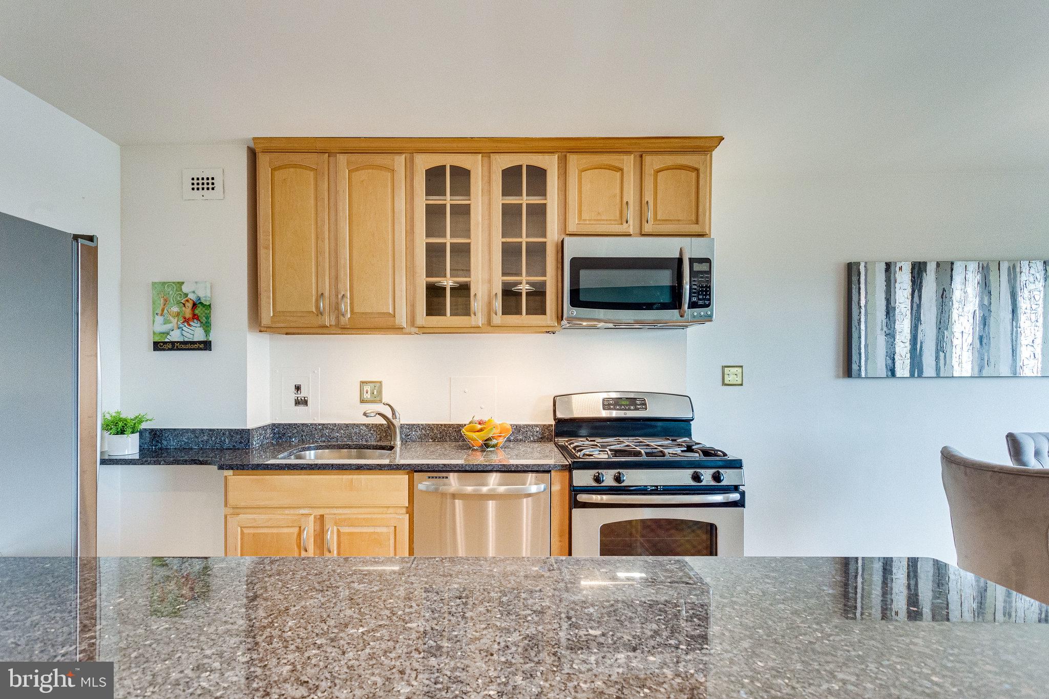 1200 South Arlington Ridge Road, Unit 718 Arlington, VA 22202 - Photo 10 of 30 Granite surfaces, stainless appliances