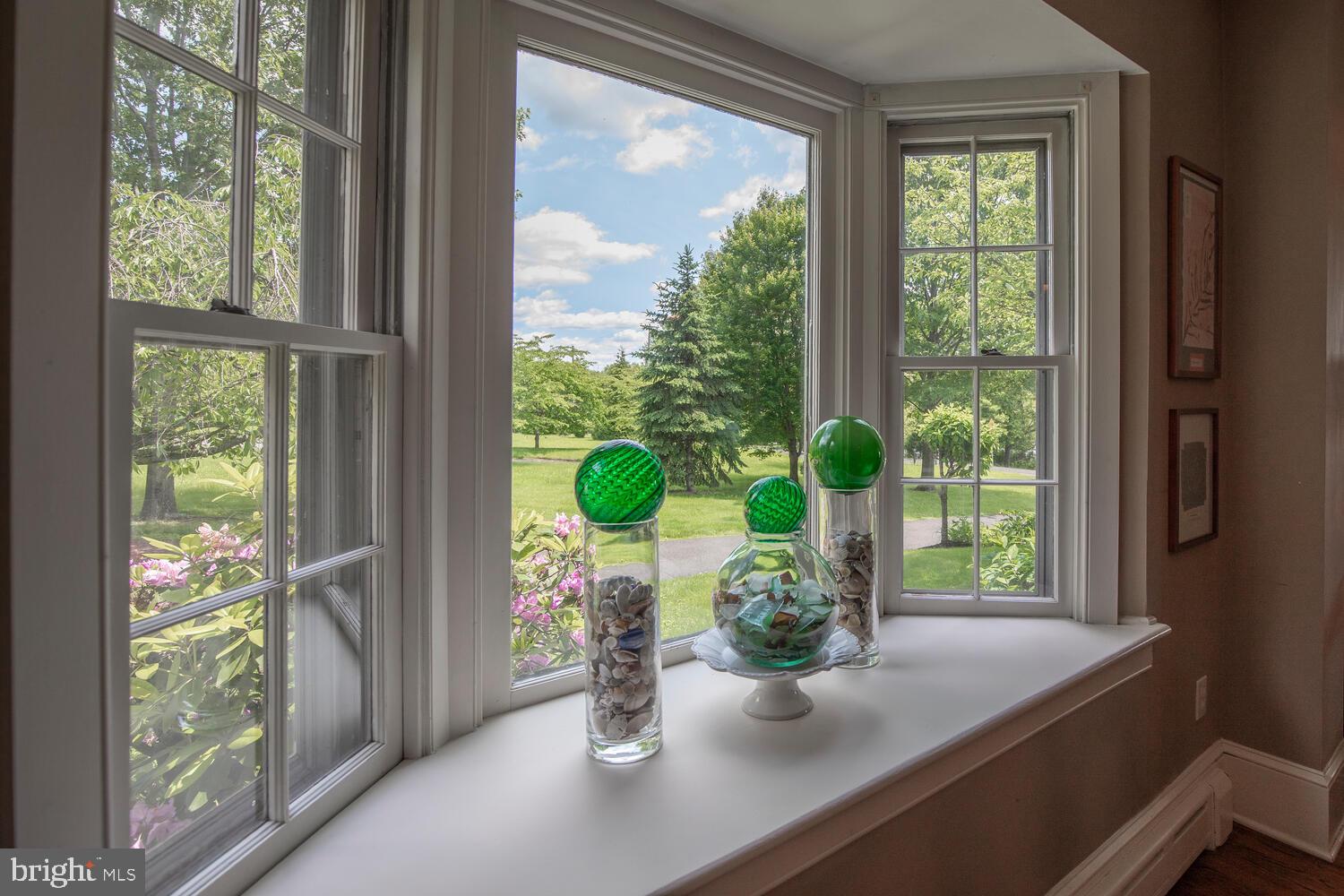 4367 Curly Hill Road Doylestown, PA 18902 - Photo 23 of 72 a potted plant sitting on a window sill and a sink