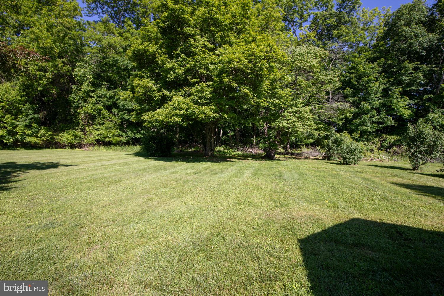 4367 Curly Hill Road Doylestown, PA 18902 - Photo 61 of 72 a view of yard with green space