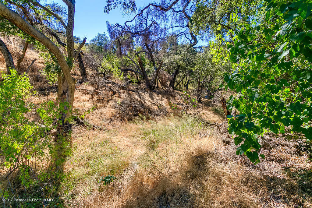 1336 Inverness Drive Pasadena, CA 91103 - Photo 36 of 42 a view of a yard with a tree