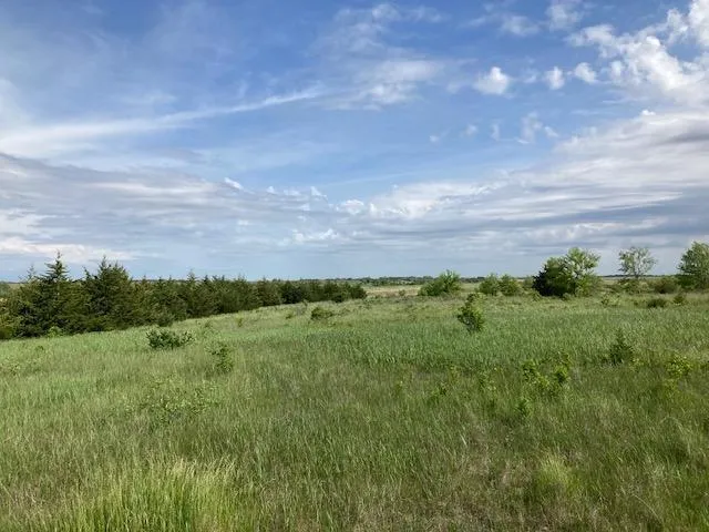 $300,000 | Xxxxx 170th Avenue, Glenwood, MN 56334