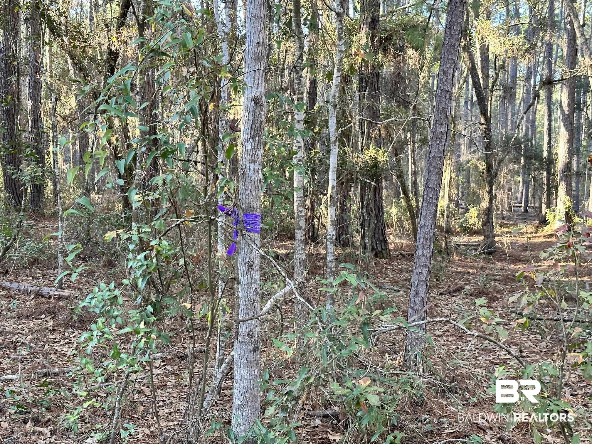12153 Kenner Road Foley, AL 36535 - Photo 6 of 8 Gallery Image 6