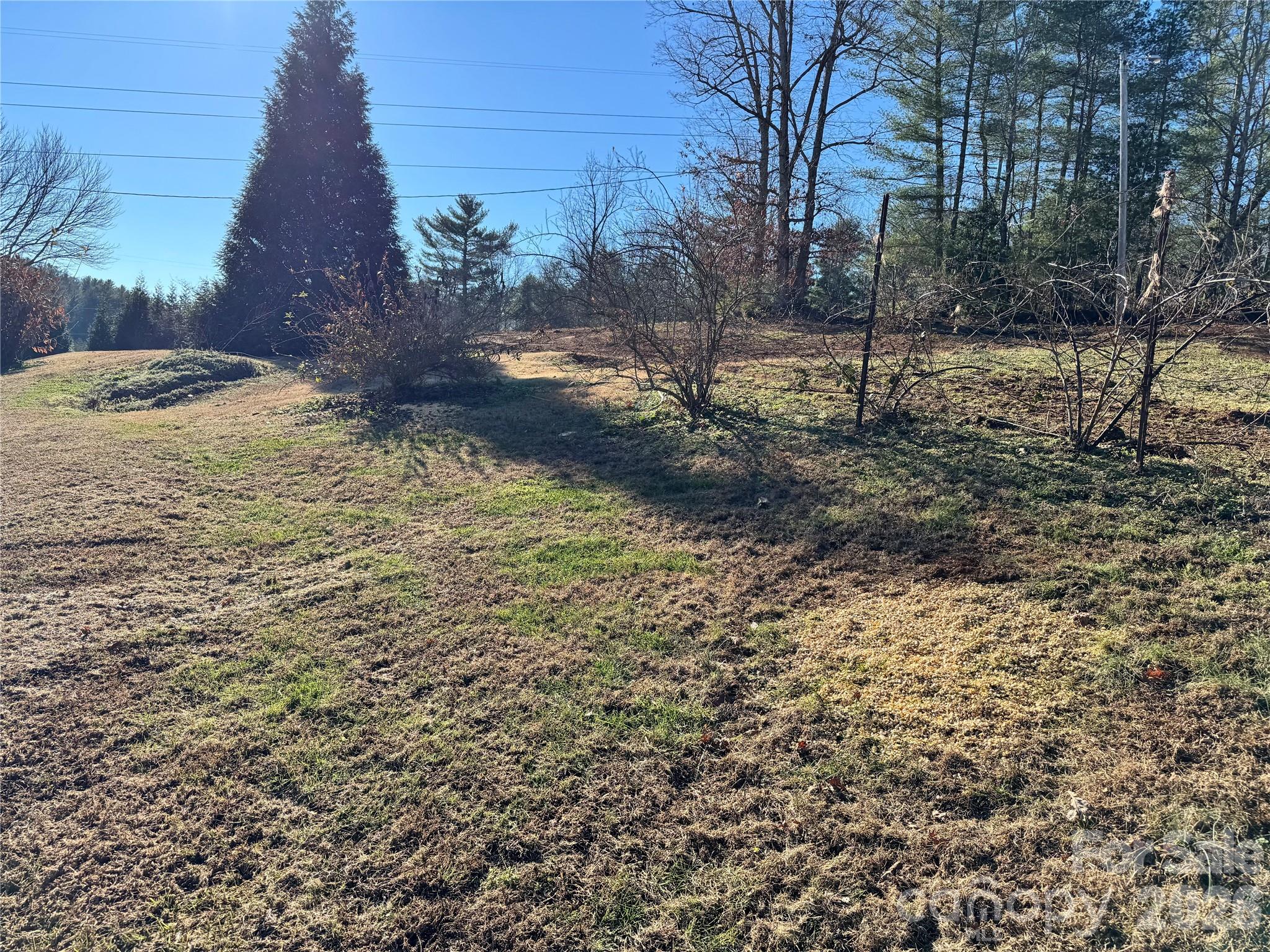 2448 Christopher Road Morganton, NC 28655 - Photo 21 of 32 a view of outdoor space with trees