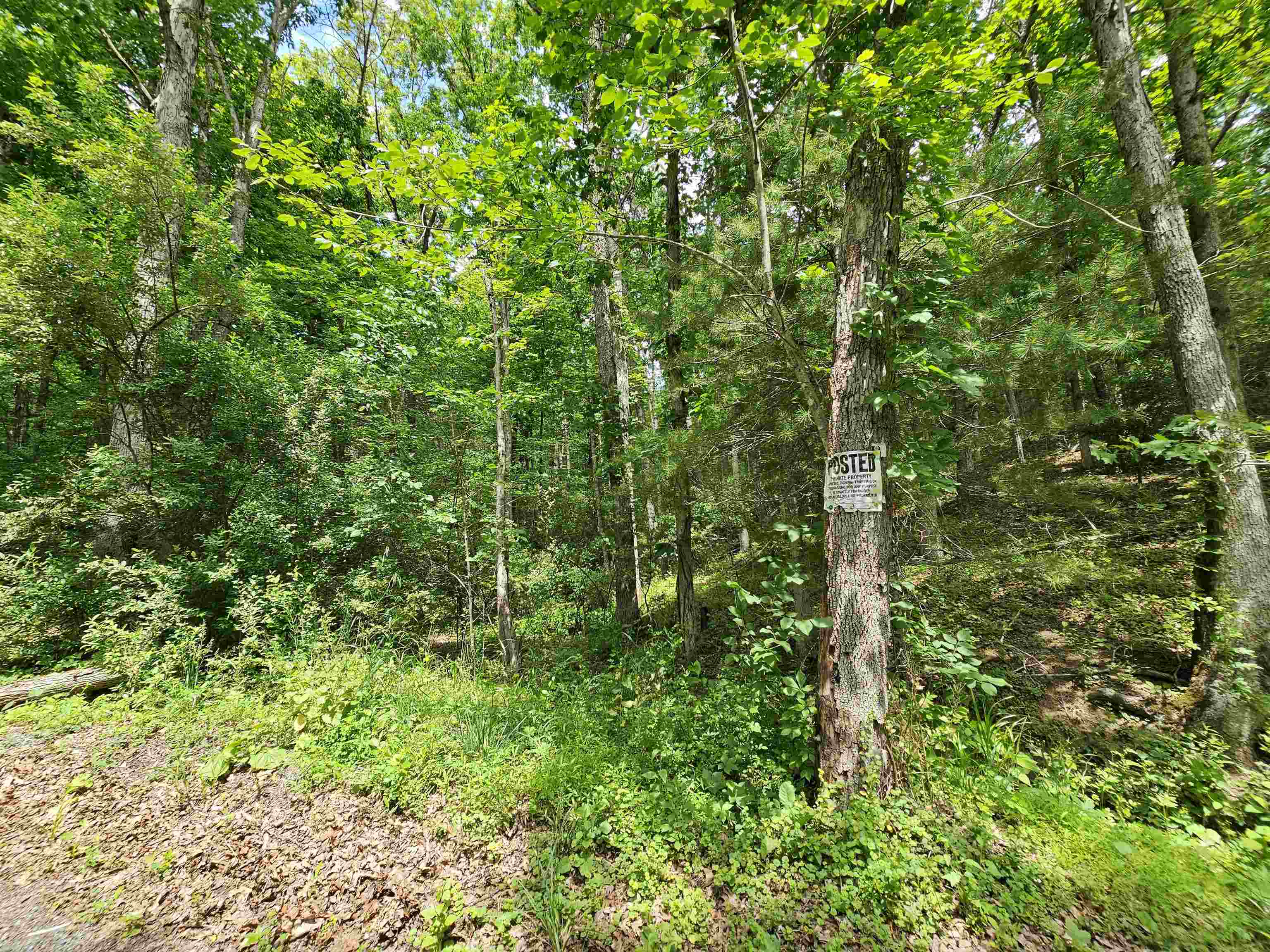 2105 Coles Mountain Road Covington, VA 24426 - Photo 53 of 66 Bath County side