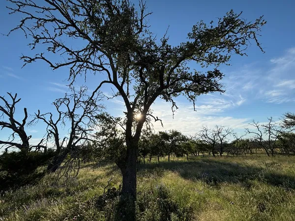 $142,500 | 183 Lipan Loop, Unit 20, Harper, TX 78631