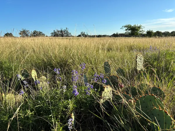 $142,500 | 183 Lipan Loop, Unit 20, Harper, TX 78631