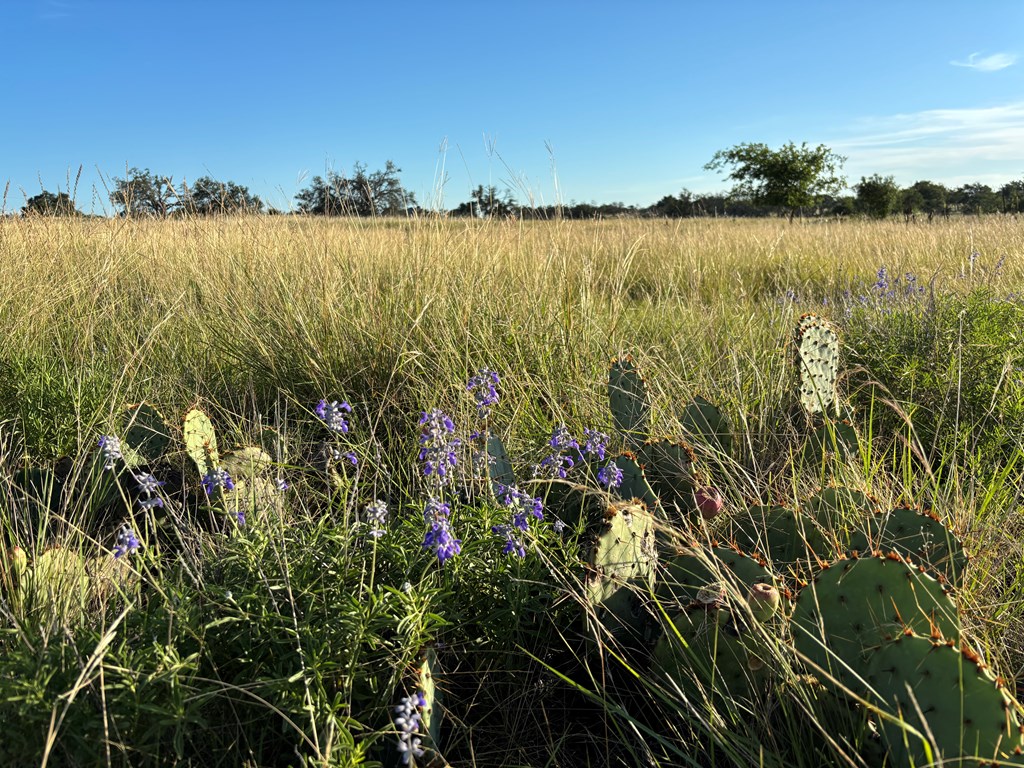 183 Lipan Loop, Unit 20 Harper, TX 78631 - Photo 7 of 14