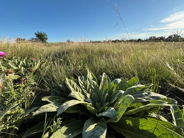 $142,500 | 183 Lipan Loop, Unit 20, Harper, TX 78631