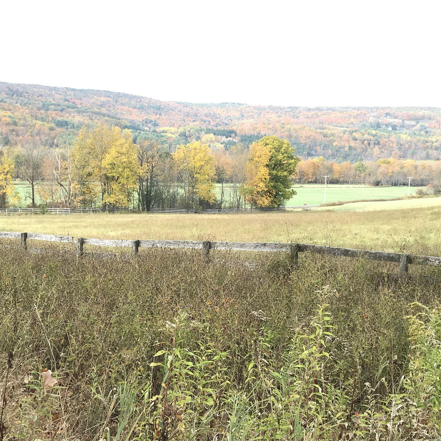 1732 Switzkill Road Berne, NY 12023 - Photo 13 of 60 Photo 13