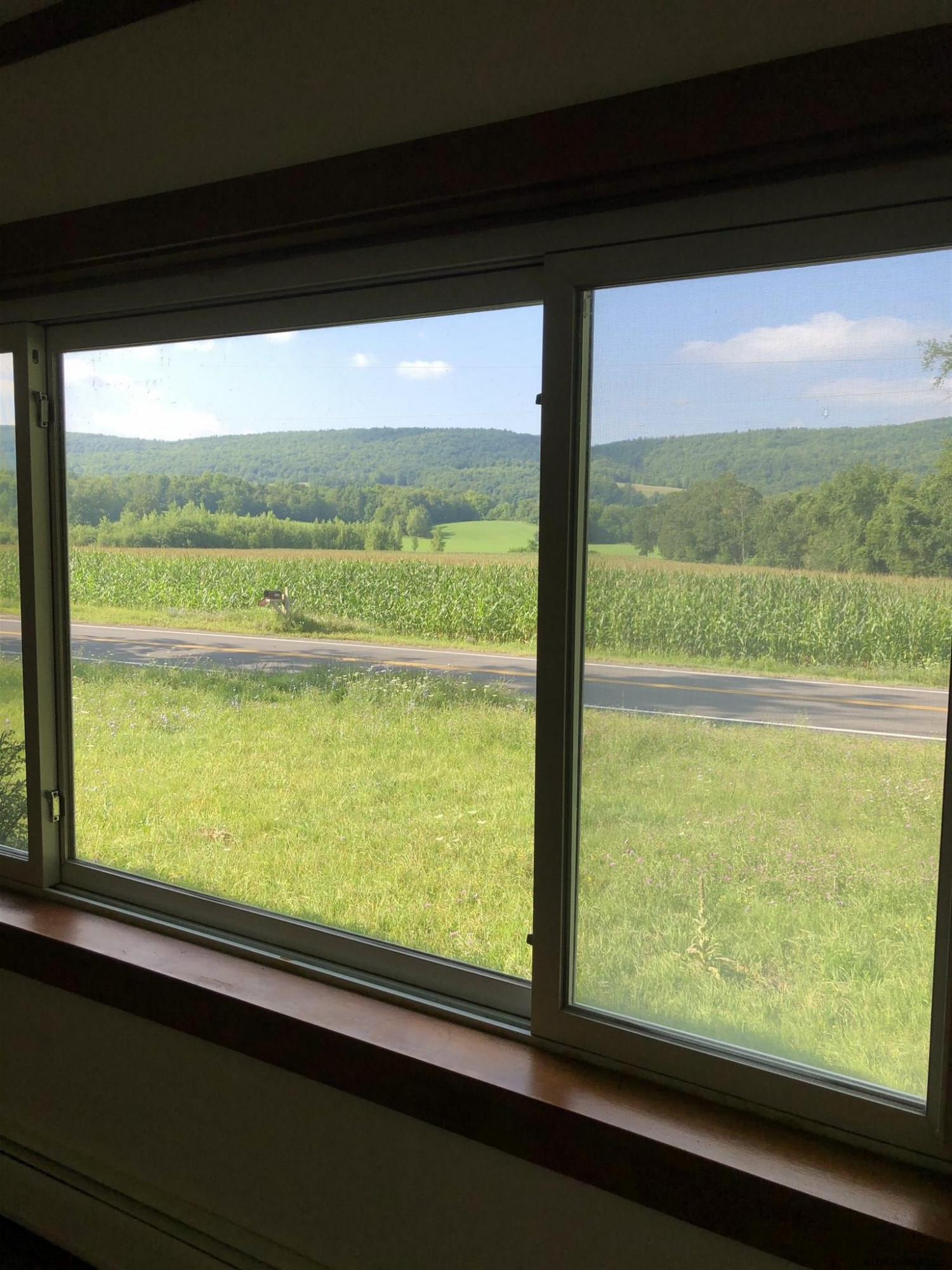 1732 Switzkill Road Berne, NY 12023 - Photo 30 of 60 Photo 31