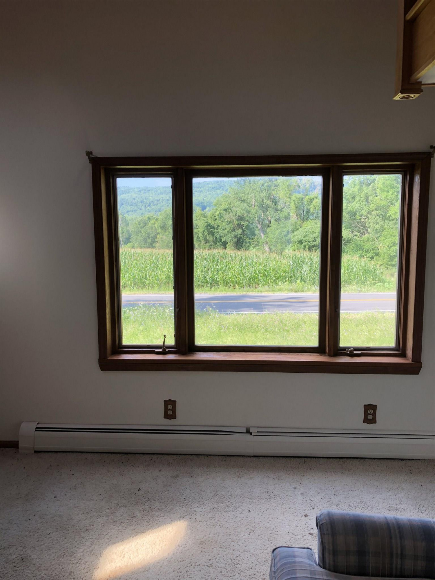 1732 Switzkill Road Berne, NY 12023 - Photo 55 of 60 Photo 58