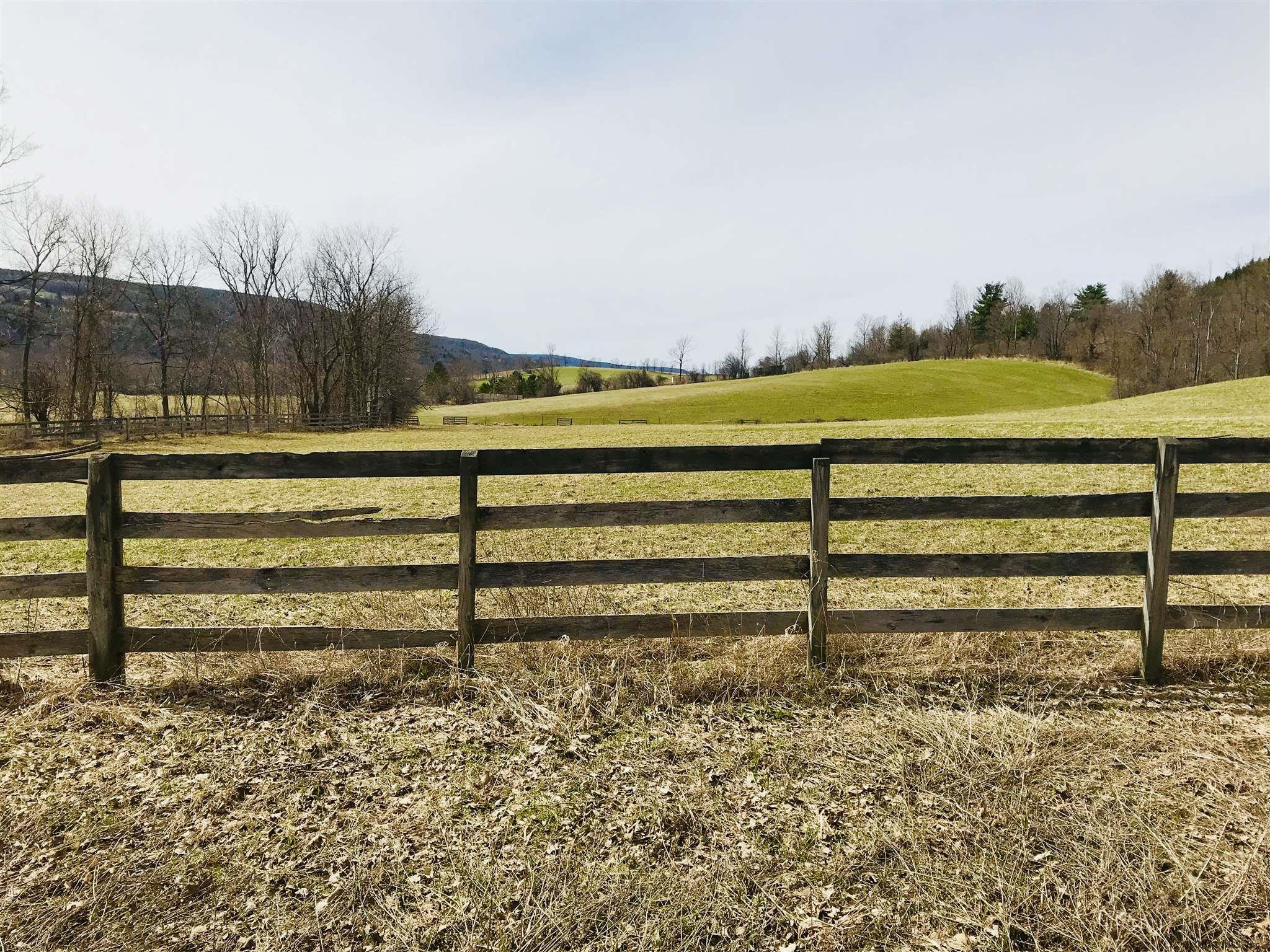 1732 Switzkill Road Berne, NY 12023 - Photo 7 of 60 Photo 7