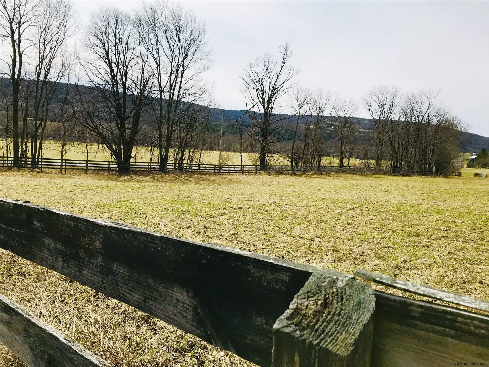1732 Switzkill Road Berne, NY 12023 - Photo 8 of 60 Photo 8