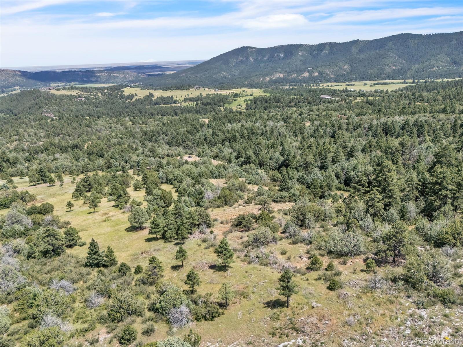 Beulah Highlands Road Beulah, CO 81023 - Photo 8 of 20