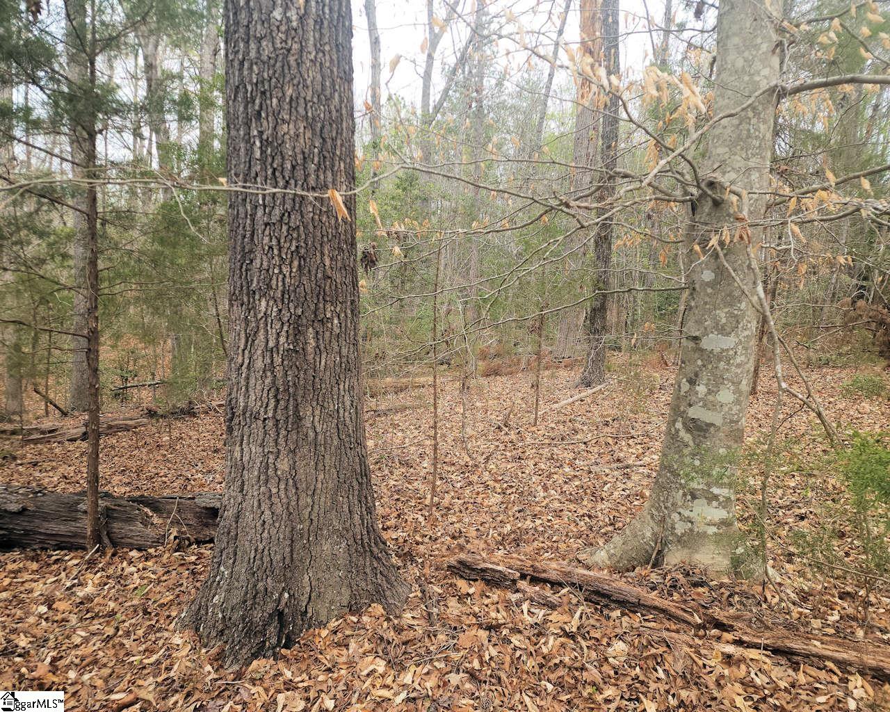 Boyds Mill Laurens, SC 29360 - Photo 11 of 19