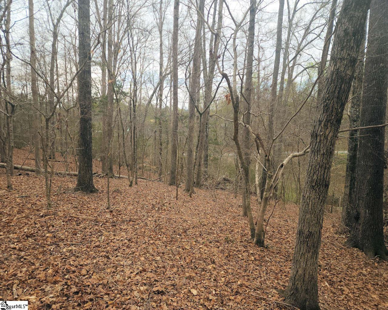 Boyds Mill Laurens, SC 29360 - Photo 12 of 19