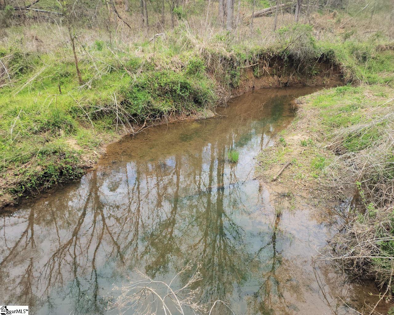 Boyds Mill Laurens, SC 29360 - Photo 14 of 19