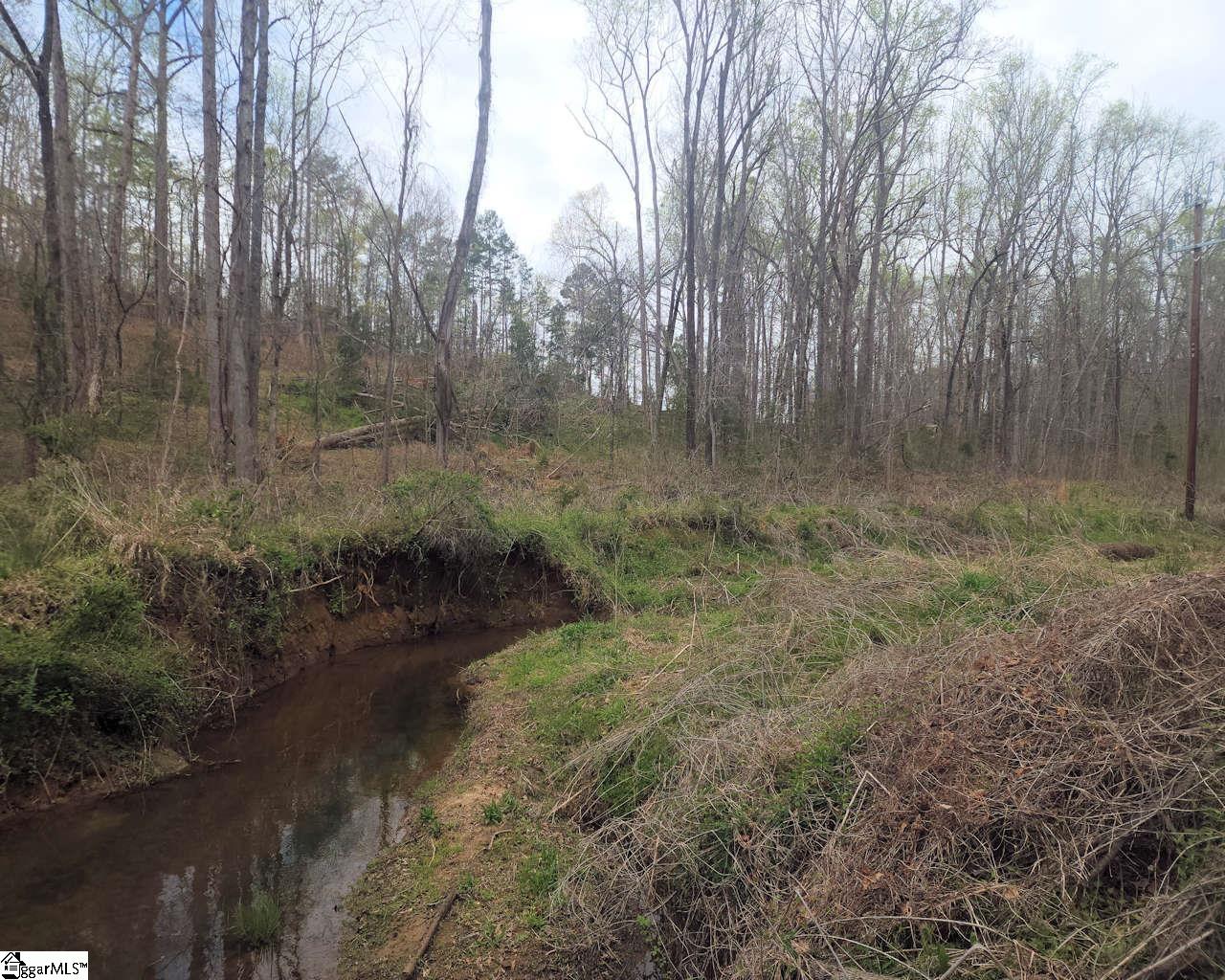 Boyds Mill Laurens, SC 29360 - Photo 15 of 19