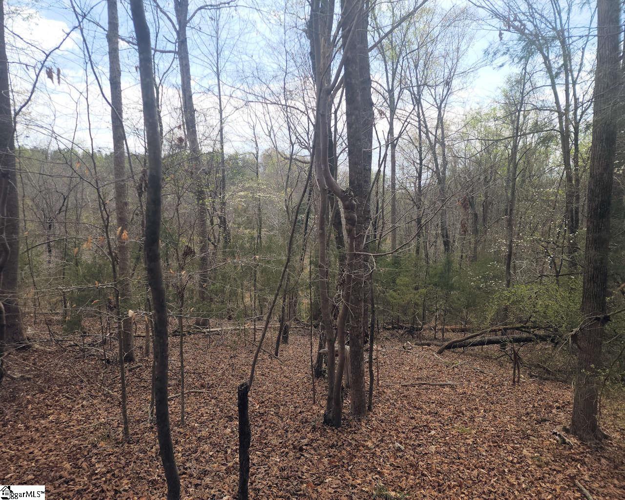 Boyds Mill Laurens, SC 29360 - Photo 18 of 19