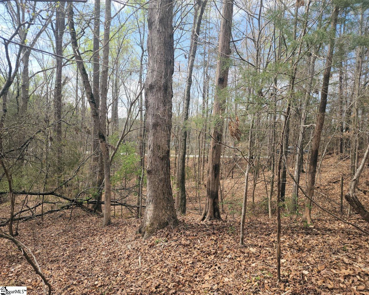 Boyds Mill Laurens, SC 29360 - Photo 19 of 19