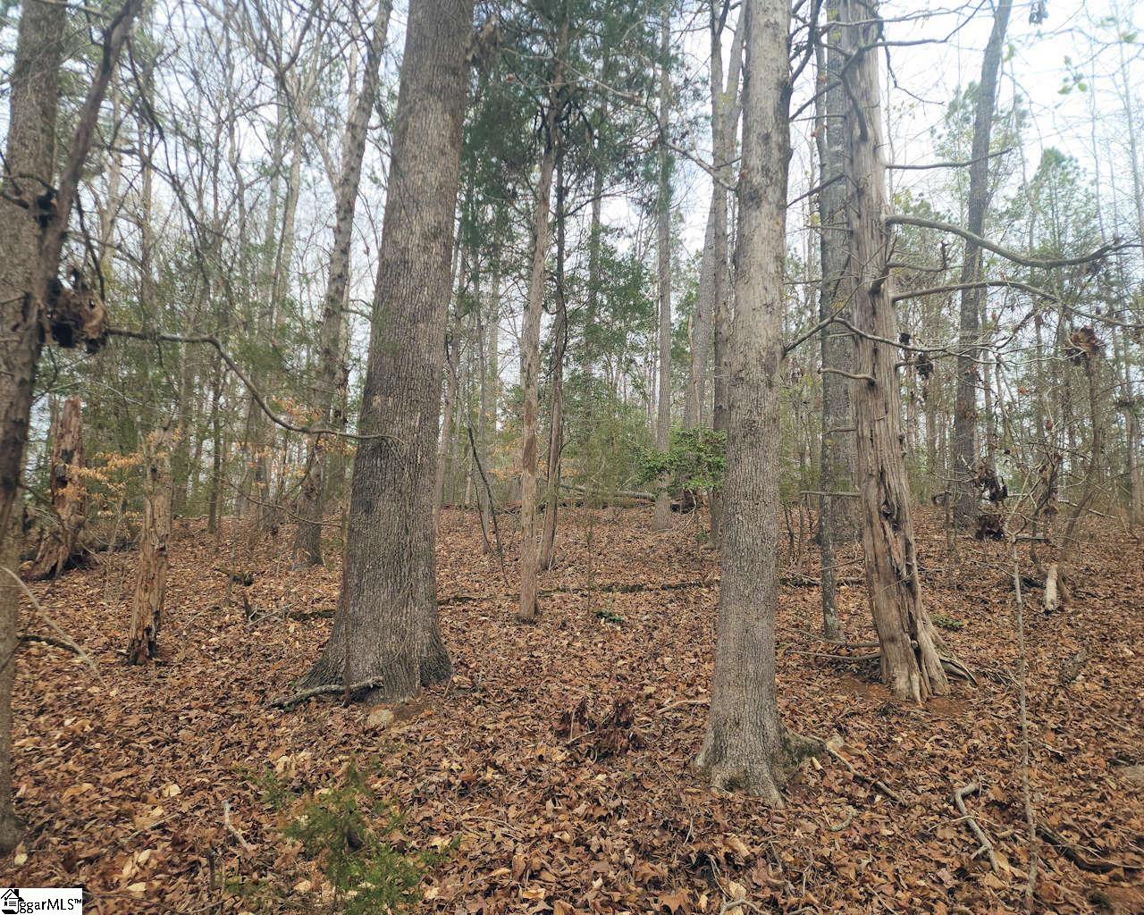 Boyds Mill Laurens, SC 29360 - Photo 6 of 19