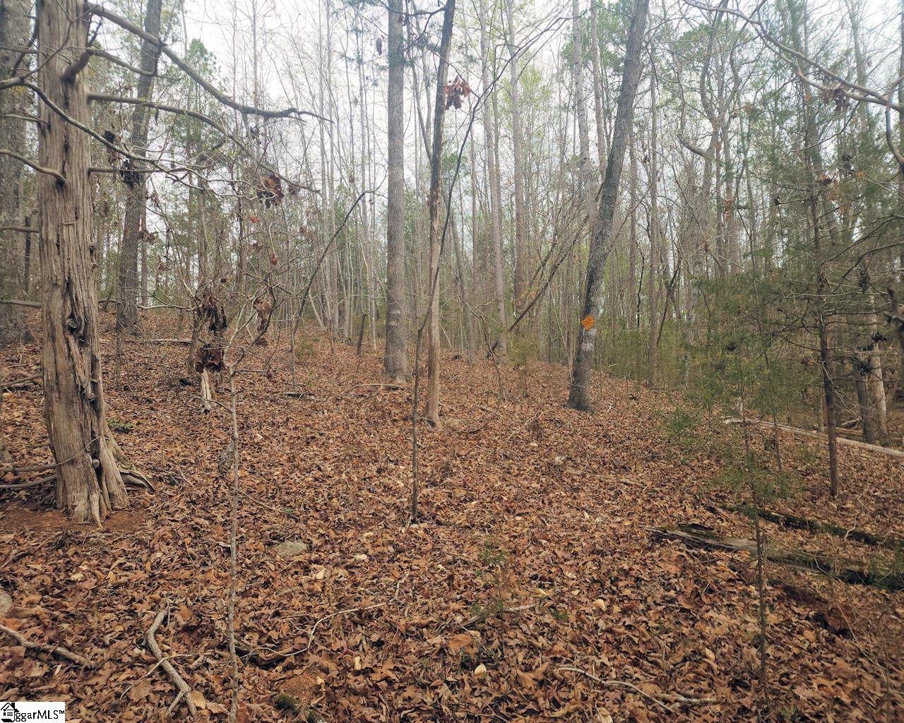 Boyds Mill Laurens, SC 29360 - Photo 7 of 19