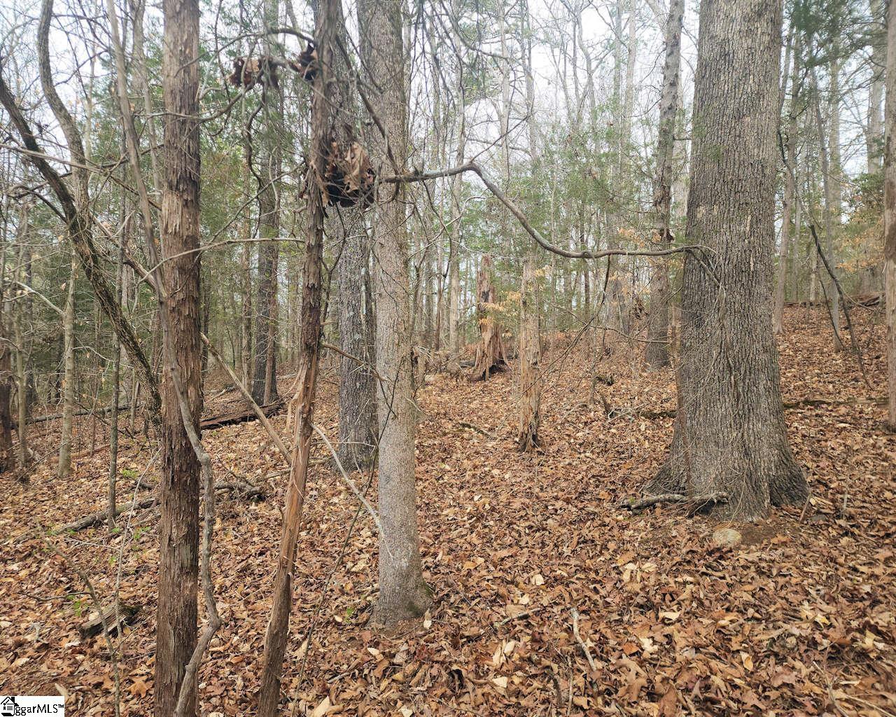 Boyds Mill Laurens, SC 29360 - Photo 8 of 19