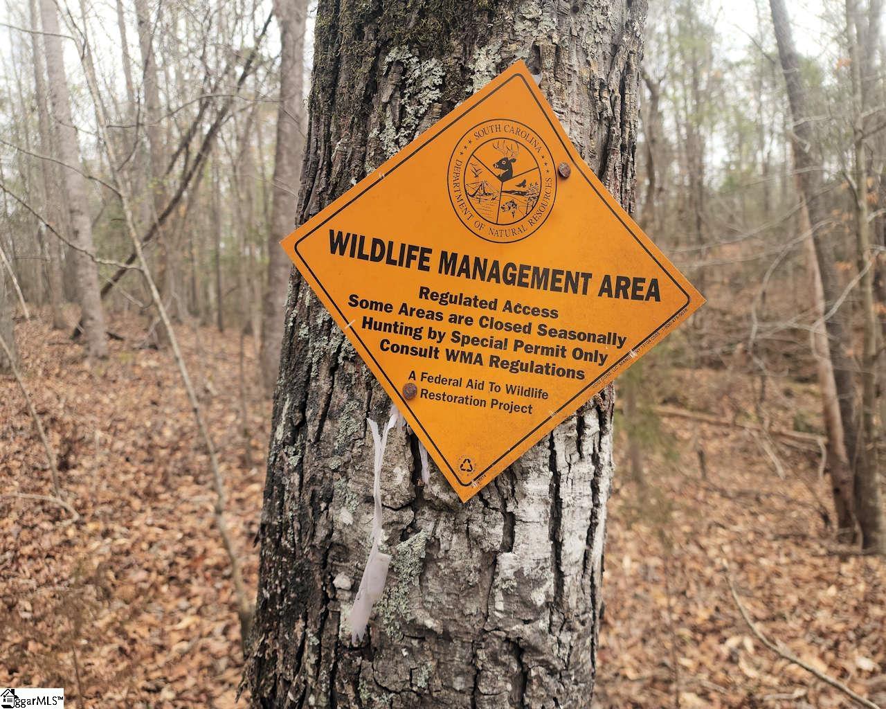 Boyds Mill Laurens, SC 29360 - Photo 9 of 19