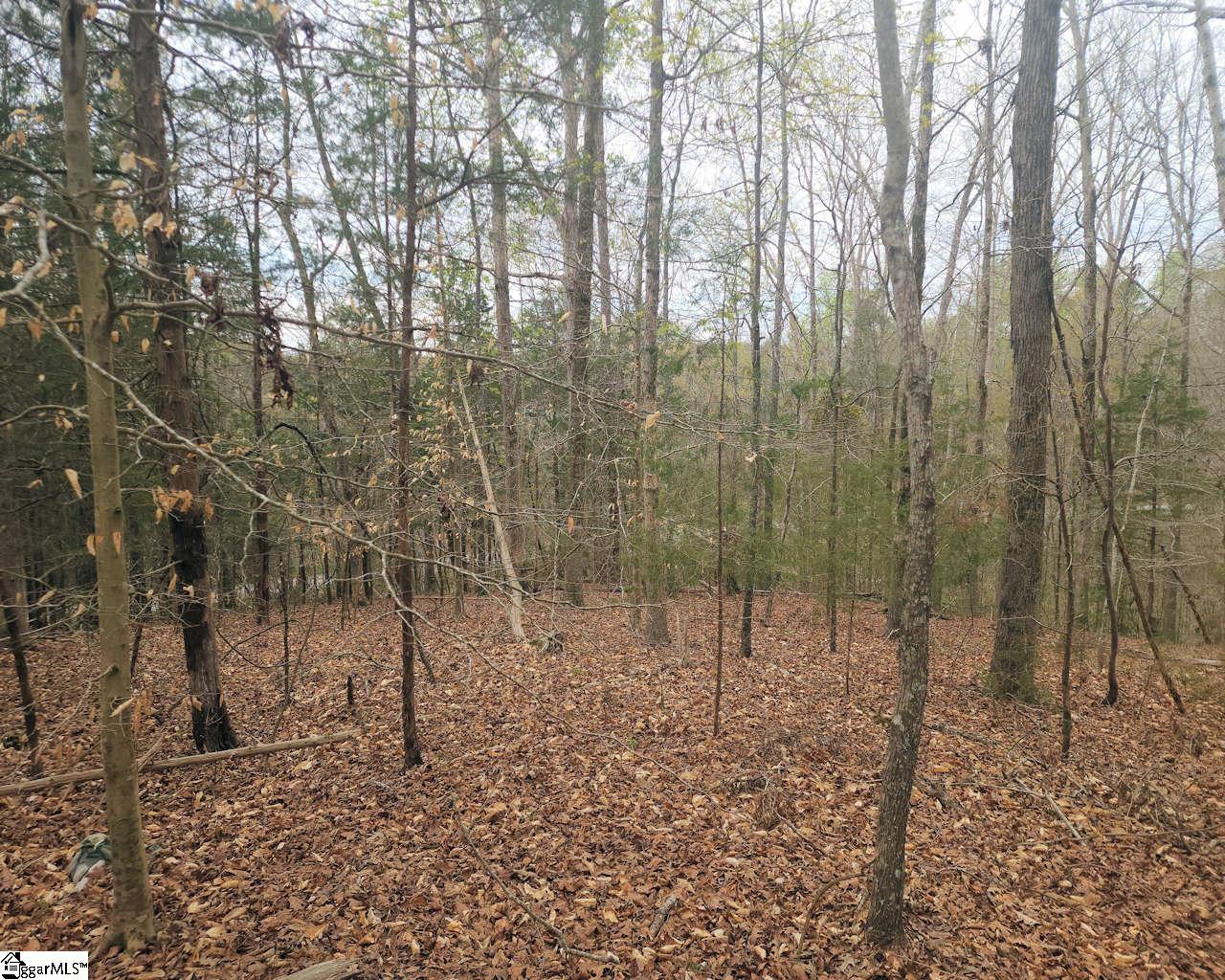 Boyds Mill Laurens, SC 29360 - Photo 10 of 19