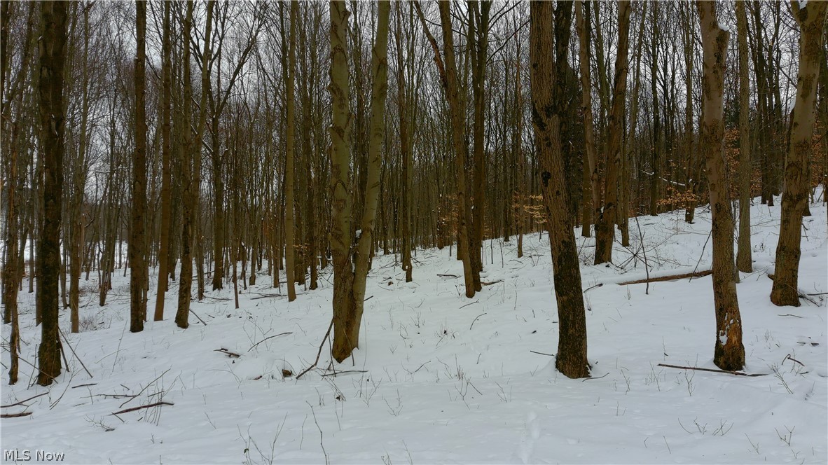 8402 Goodrich Road Southwest Navarre, OH 44662 - Photo 11 of 13 Gallery Image 11