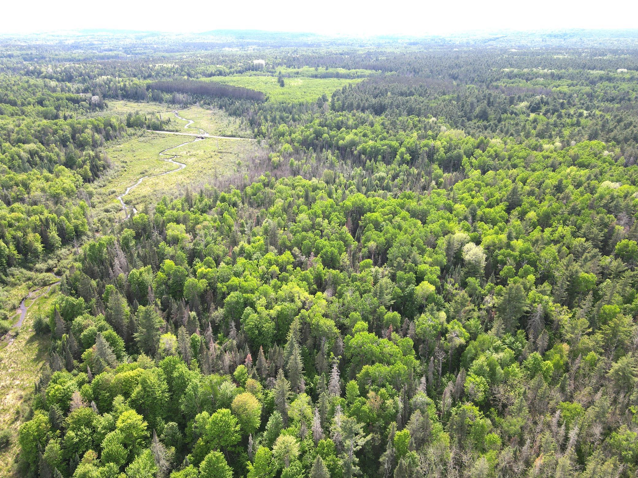 Lot 1 Smith Road North Couderay, WI 54828 - Photo 24 of 29