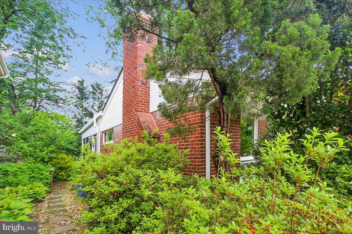 1703 Tilton Drive Silver Spring, MD 20902 - Photo 35 of 39 Charming home embraced by lush greenery.