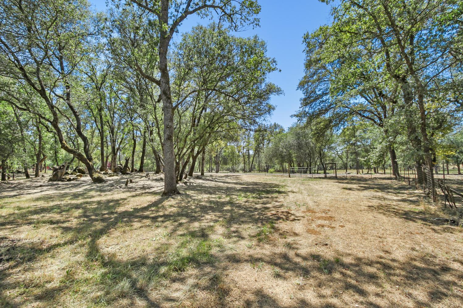 4294 Creekhaven Road Auburn, CA 95602 - Photo 68 of 73