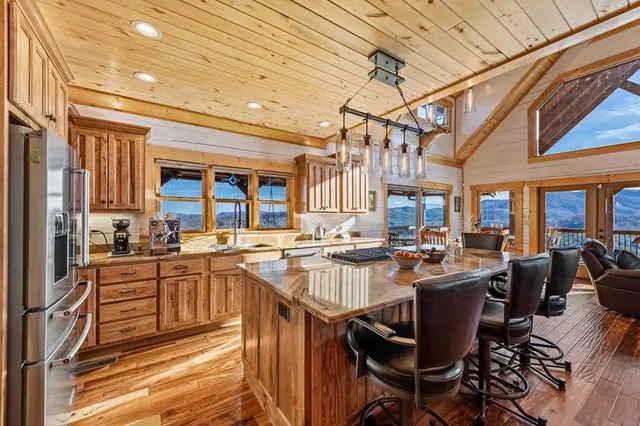 a view of a forest with a mountain in the background
