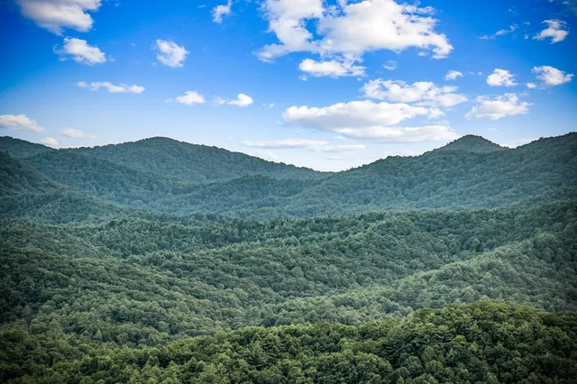 $1,999,900 | 400 Cloudland Trace, Epworth, GA 30541