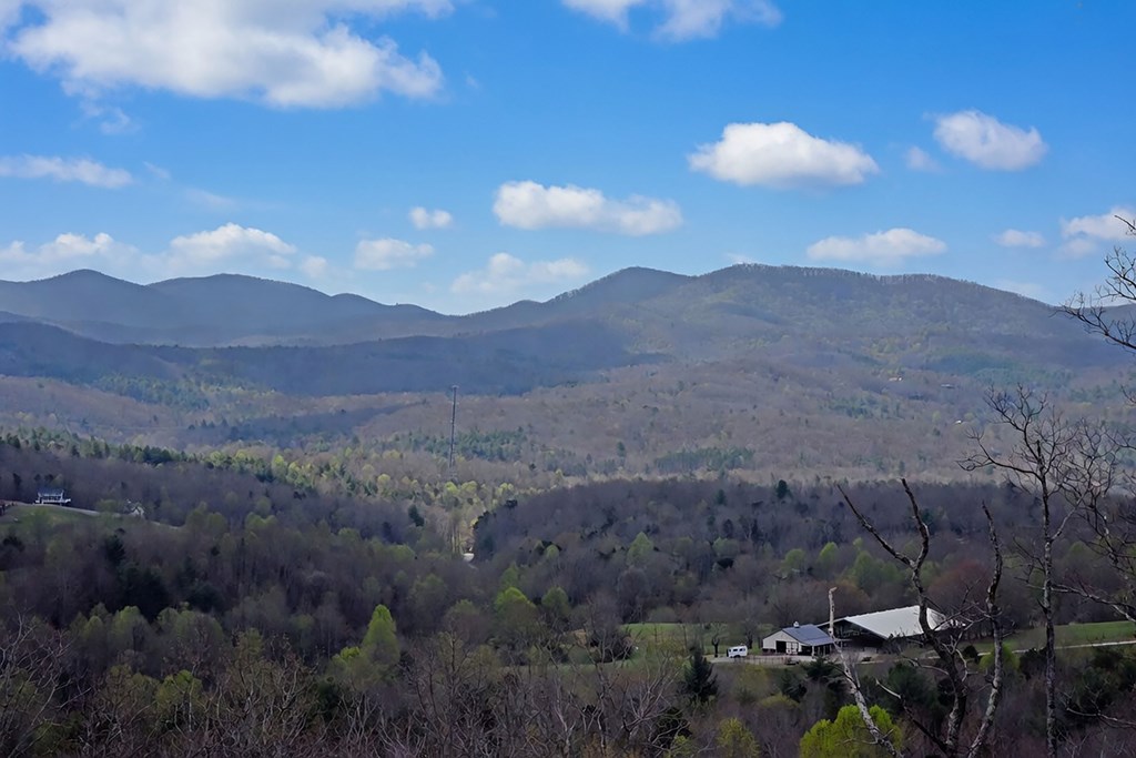 200 Honey Hill Road Morganton, GA 30560 - Photo 38 of 50