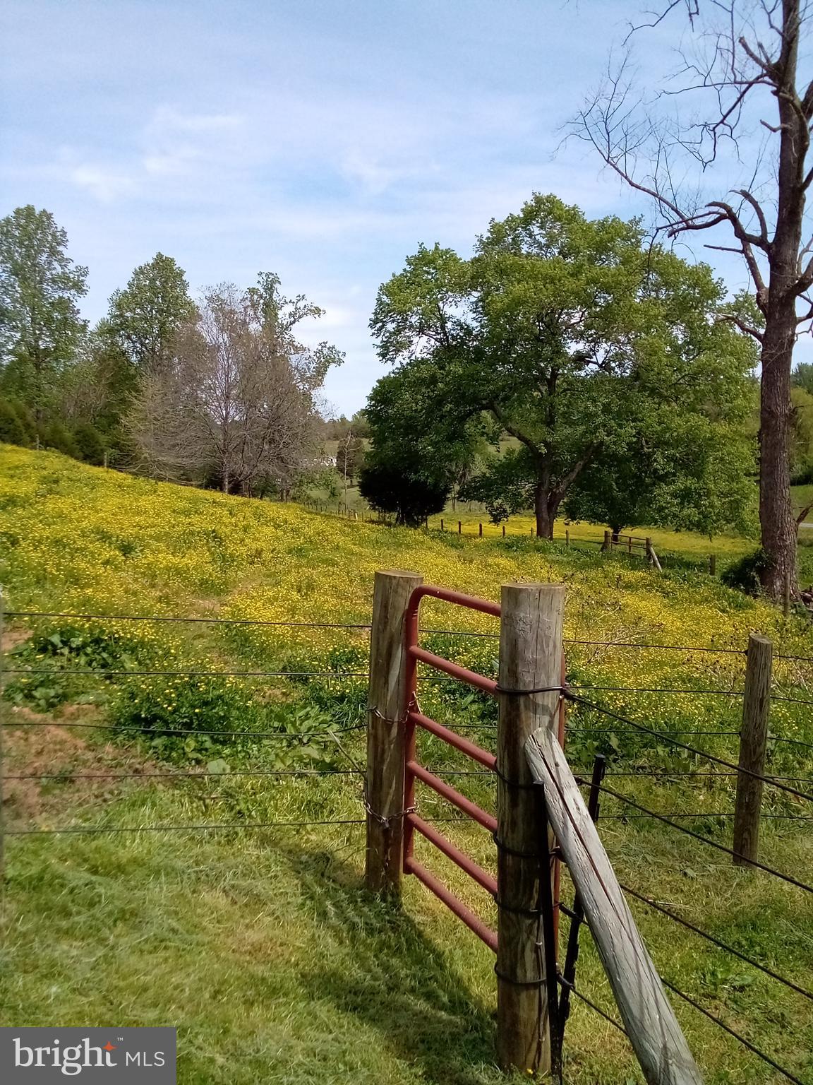 14453 Reva Road Reva, VA 22735 - Photo 18 of 21