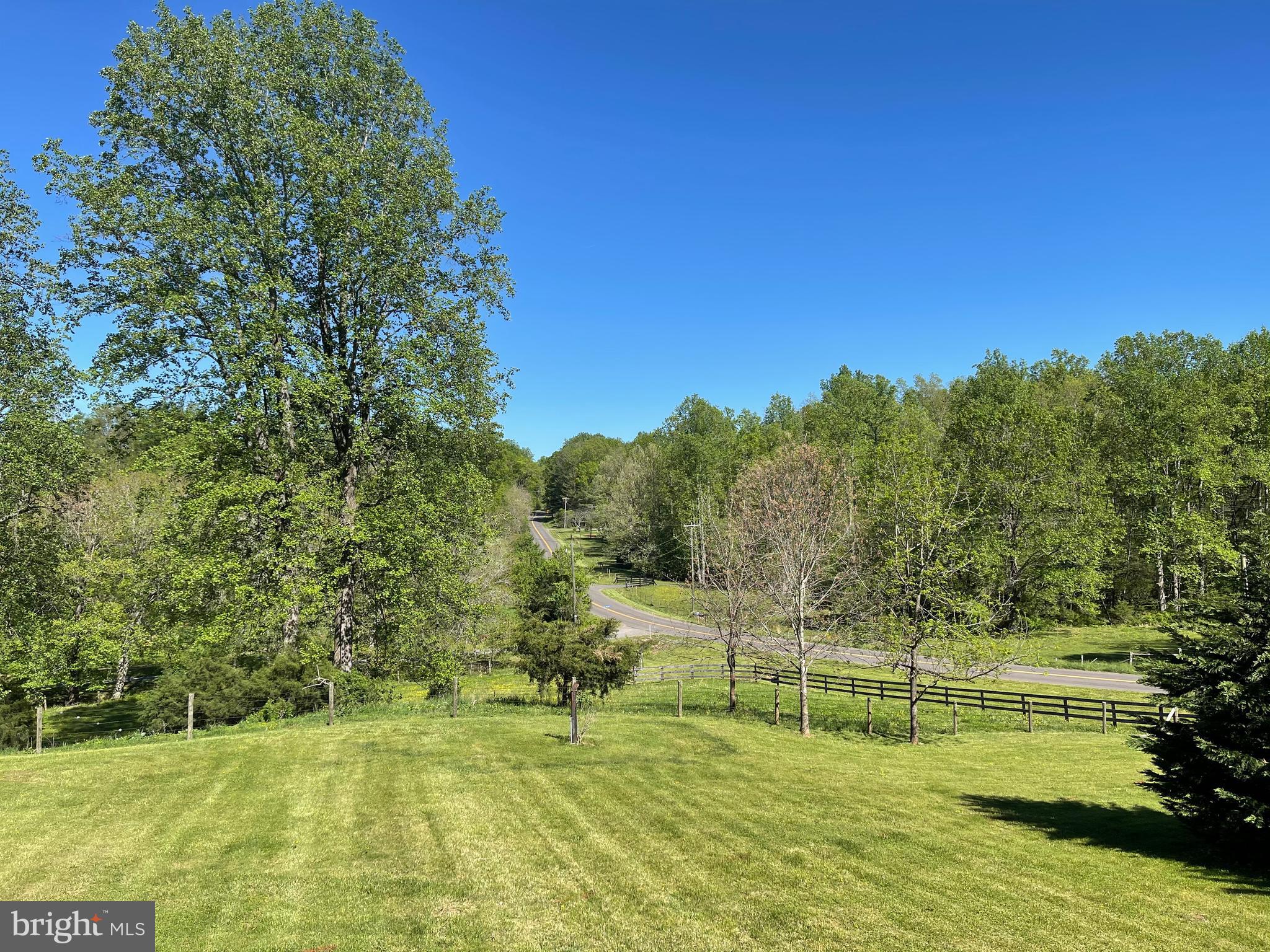 14453 Reva Road Reva, VA 22735 - Photo 20 of 21 Front yard view