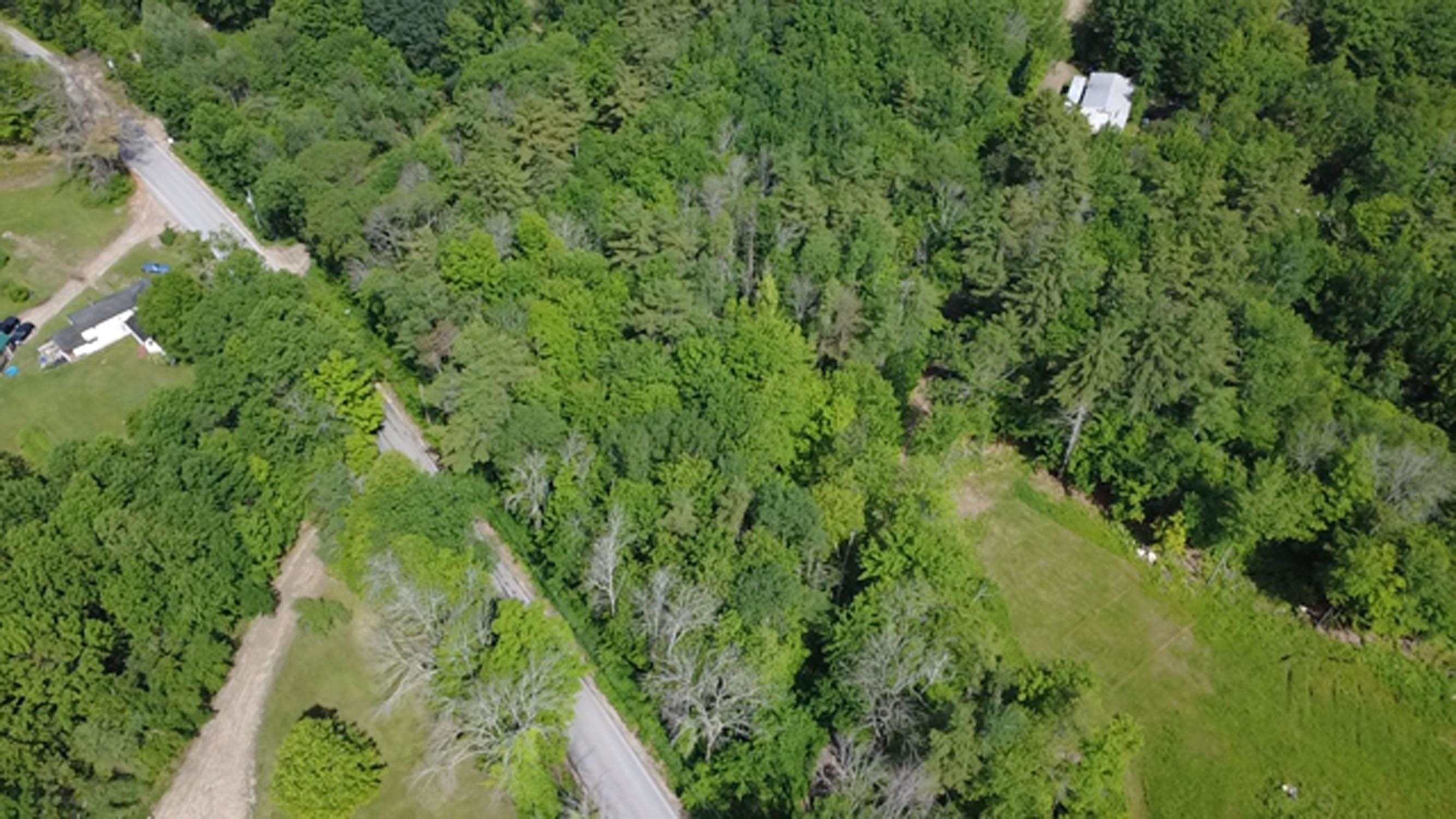 5 Brian Road Ossipee, NH 03864 - Photo 2 of 4