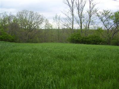 0 Kennedy Ridge Road Falmouth, KY 41040 - Photo 3 of 14 Gallery Image 3