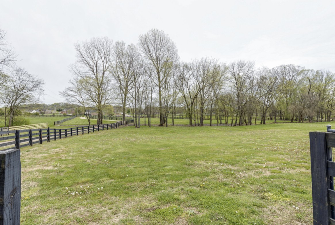 2183 Toby Robertson Road Spring Hill, TN 37174 - Photo 54 of 61 a view of a field with trees