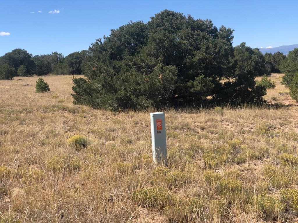 Lot 64 River Ridge Trail La Veta, CO 81055 - Photo 2 of 29
