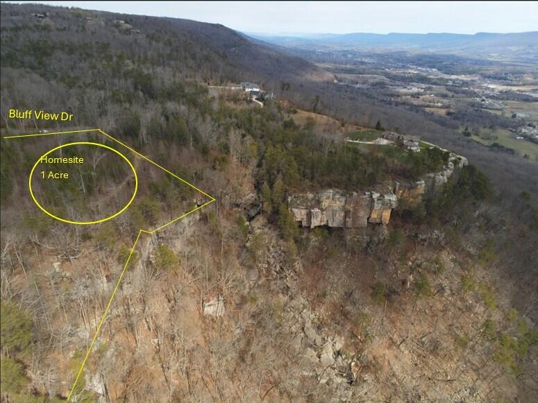 0 Bluff View Drive, Unit 104 AC Dunlap, TN 37327 - Photo 9 of 12 Drone